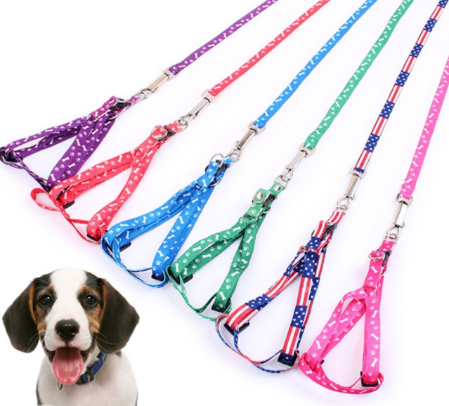 Dog leash